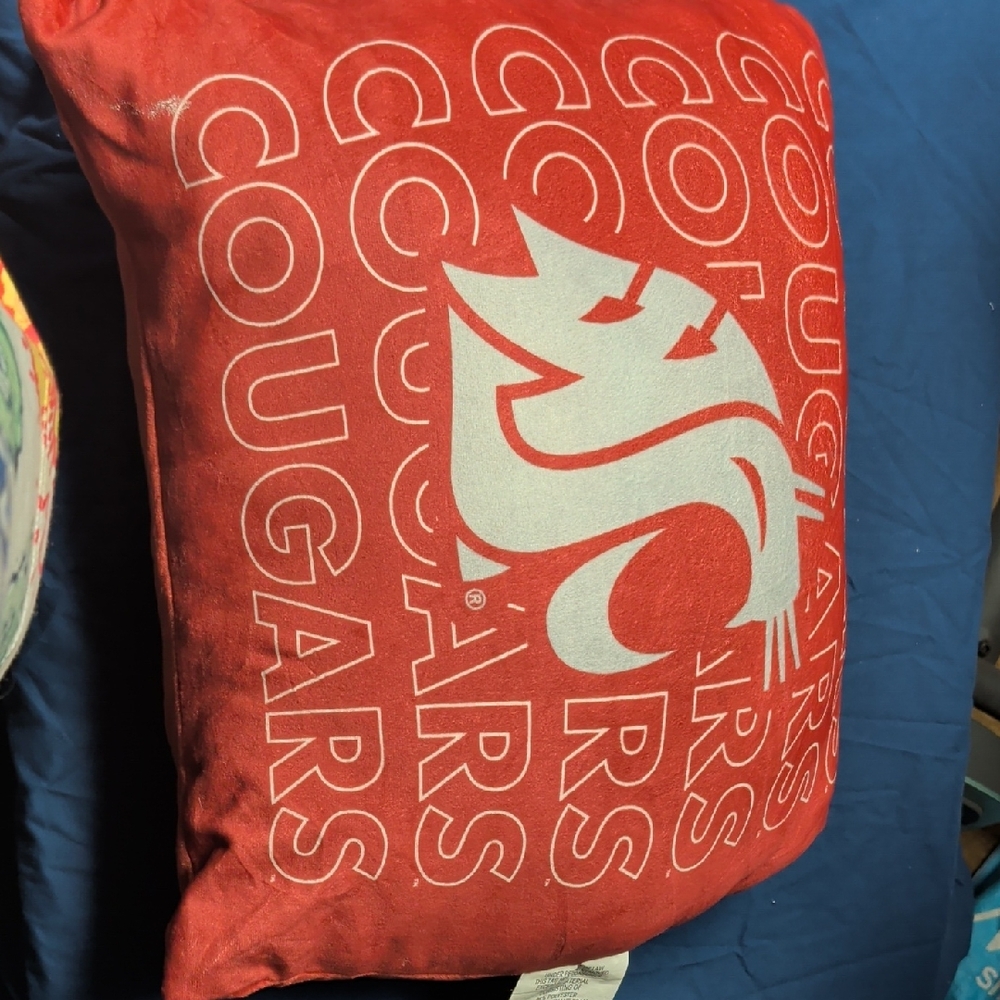 Red Cougars Decorative Pillow
